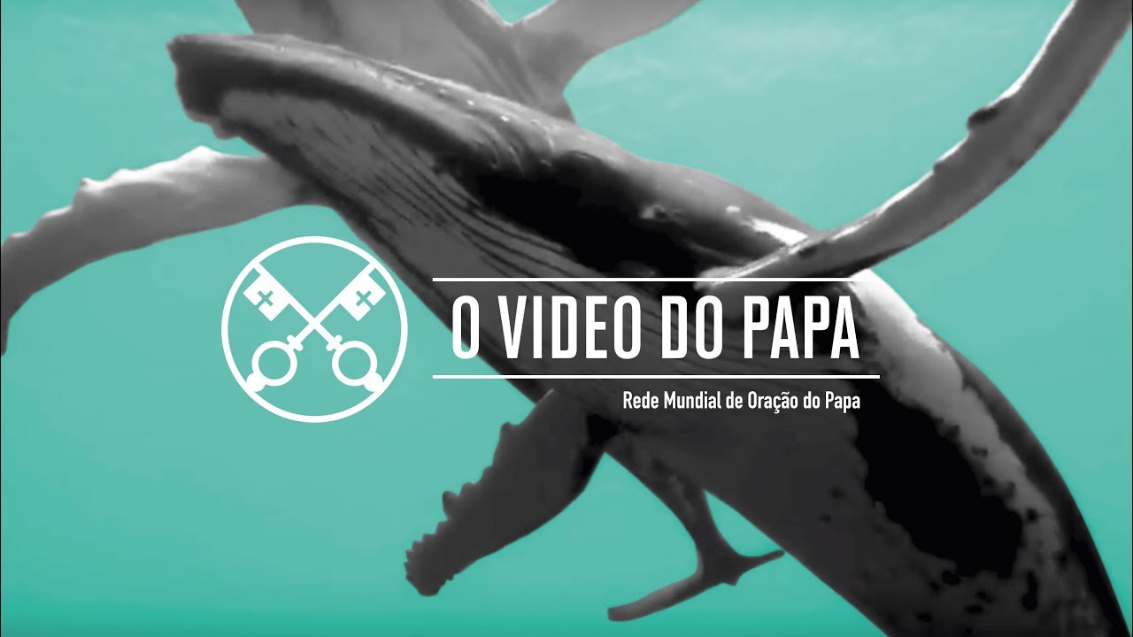 Proteção dos oceanos – O Vídeo do Papa – Setembro 2019